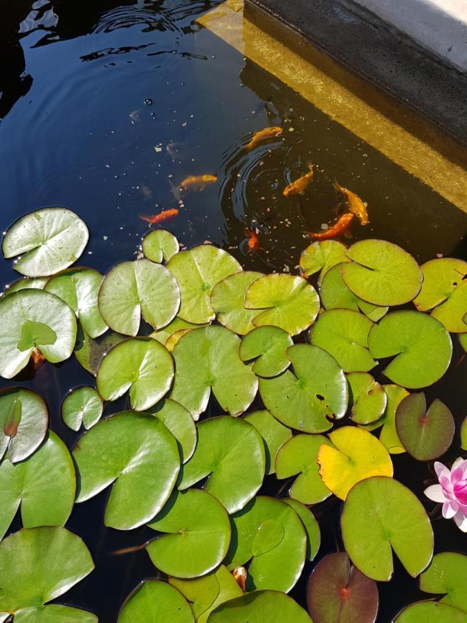 Vila Florena Garden Паланга Экстерьер фото
