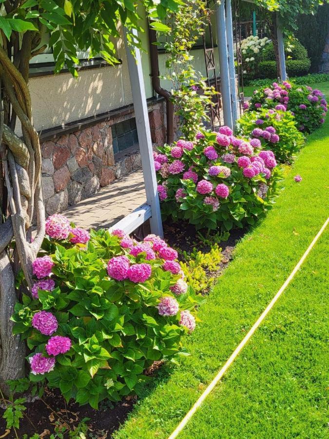 Vila Florena Garden Паланга Экстерьер фото