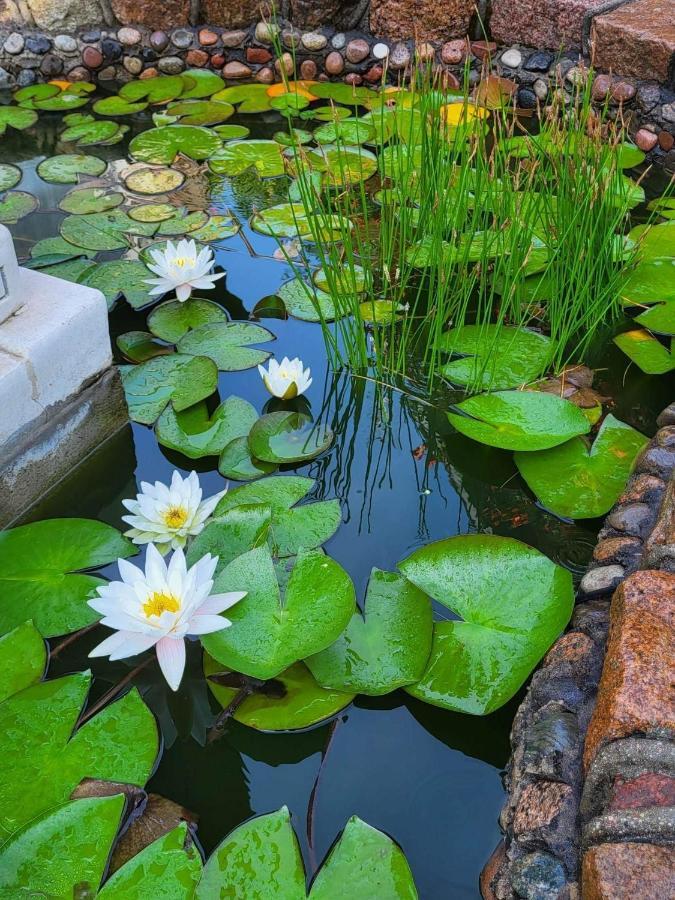 Vila Florena Garden Паланга Экстерьер фото