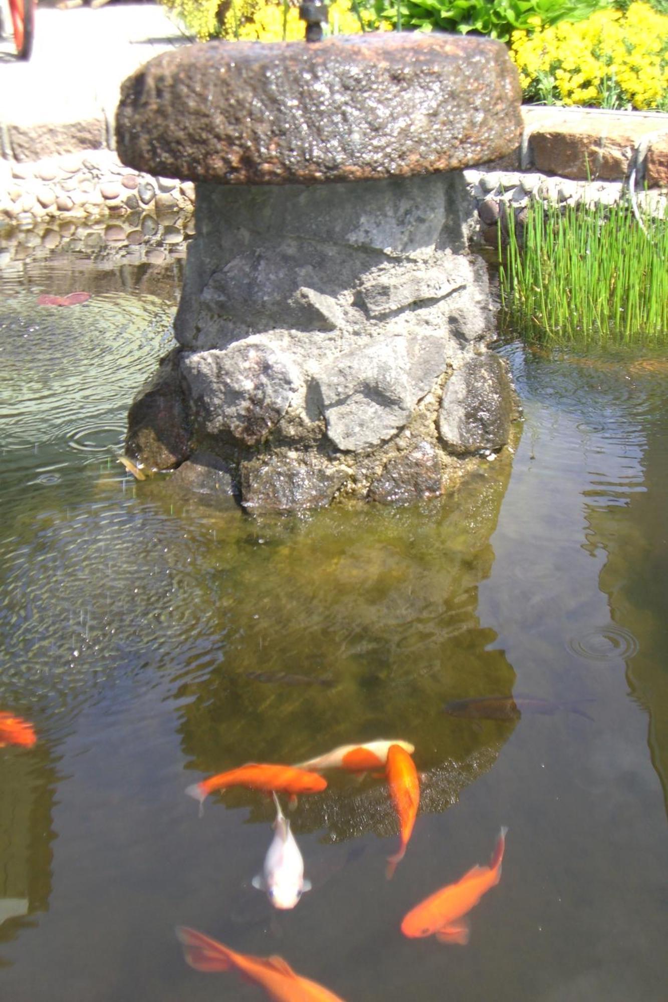 Vila Florena Garden Паланга Экстерьер фото